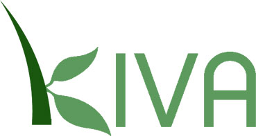 Give to Kiva